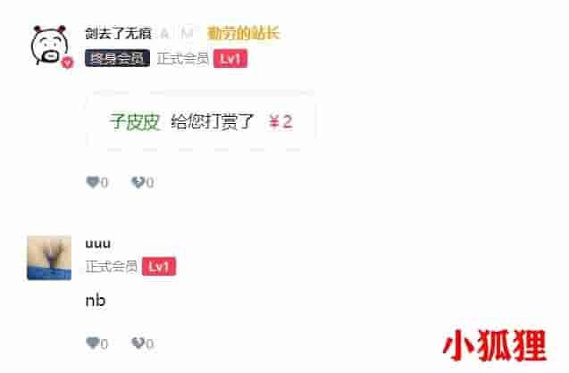 b2美化之等级自定义颜色