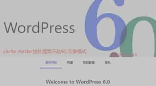 WordPress6.0-cache master专家模式搜索不跳转解决方案
